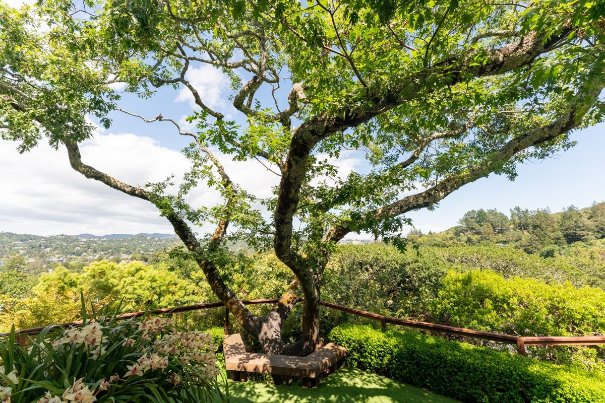 Kentfield Remodel — outdoor — Sonoma Residential Services